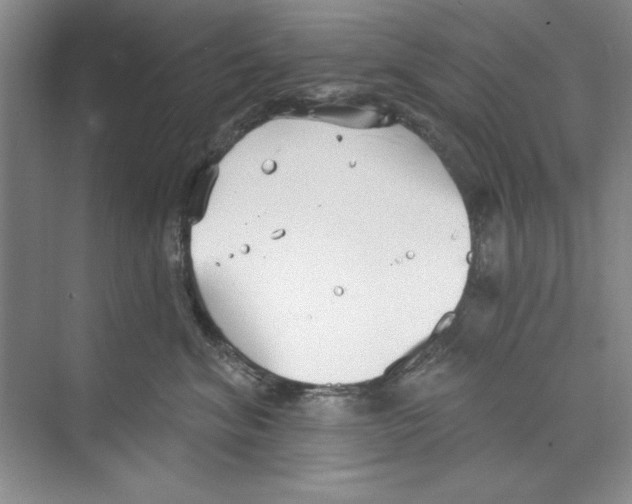 X0000068840620200606021710