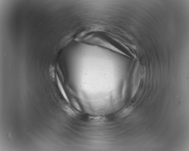 X0000068840621200606021710