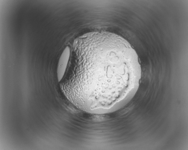 X0000068840623200606021710