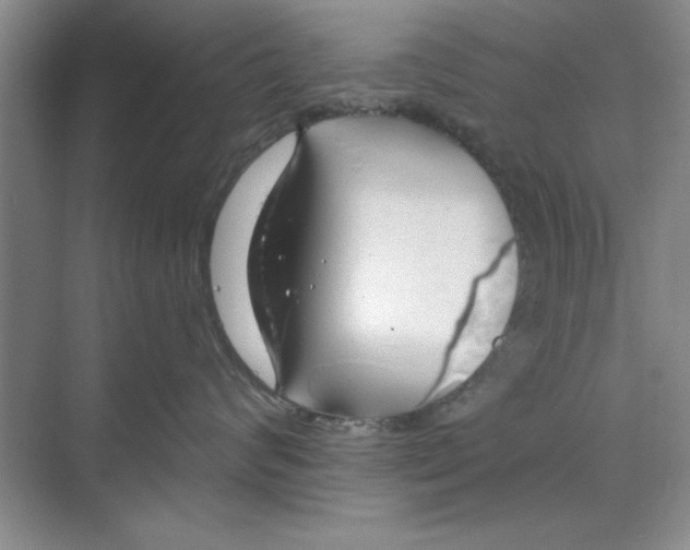 X0000068840624200606021710