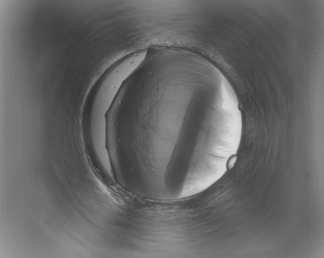 X0000068840626200606021709