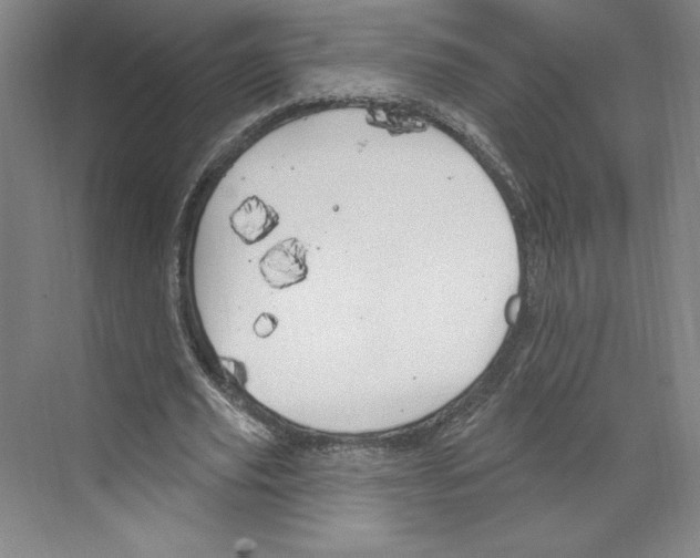 X0000068840629200606021709