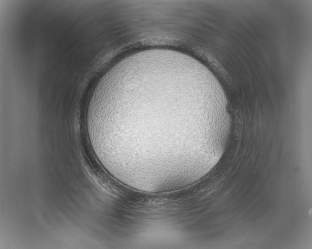 X0000068840631200606021709