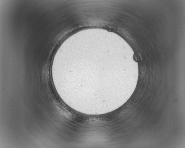 X0000068840632200606021709