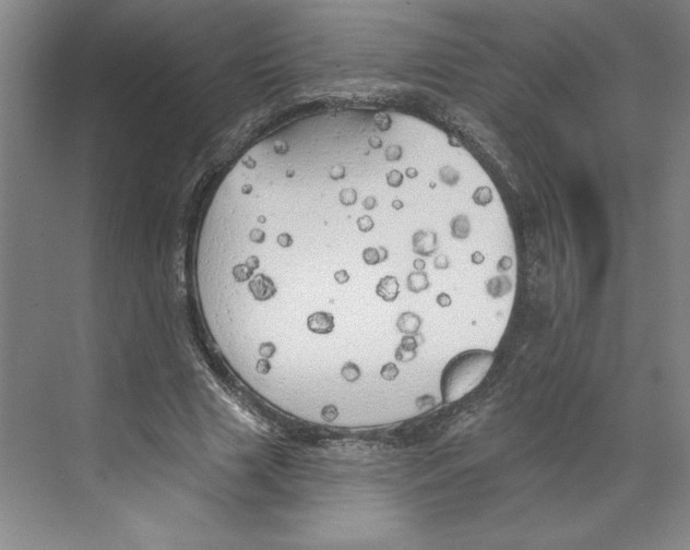 X0000068840633200606021709