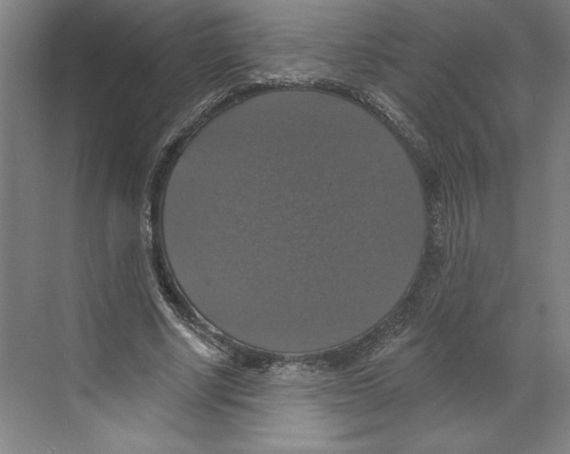 X0000068840634200606021710