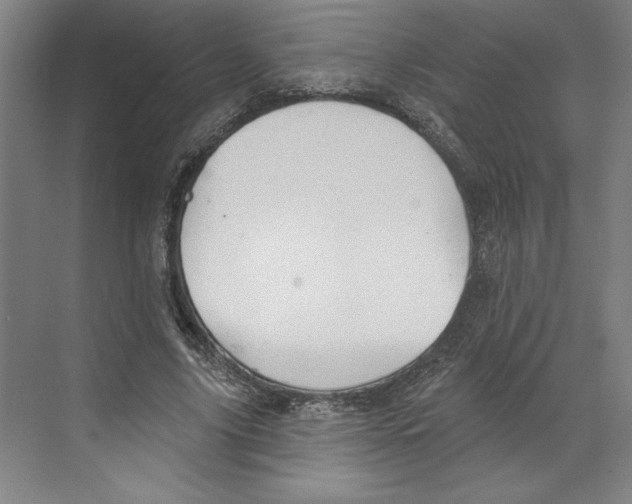 X0000068840635200606021710