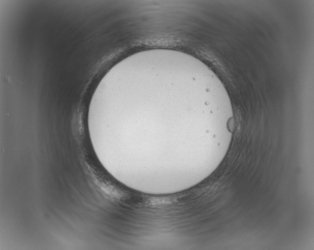 X0000068840636200606021710