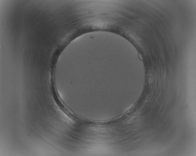 X0000068840637200606021710