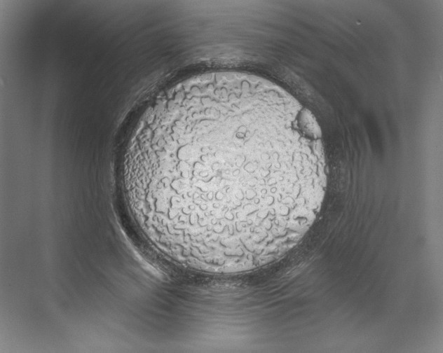 X0000068840638200606021710