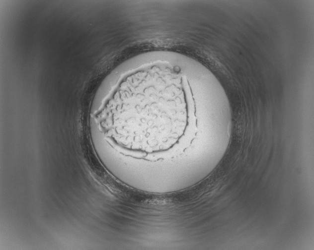 X0000068840639200606021710