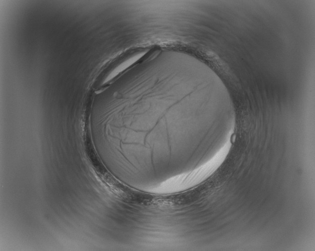 X0000068840640200606021710