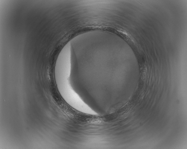 X0000068840643200606021710