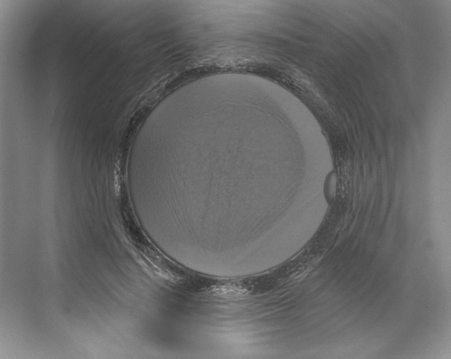 X0000068840644200606021710