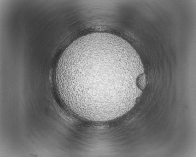 X0000068840646200606021710