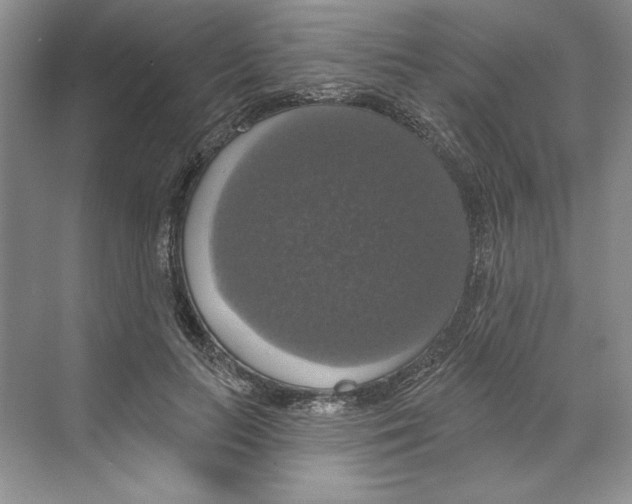 X0000068840647200606021710