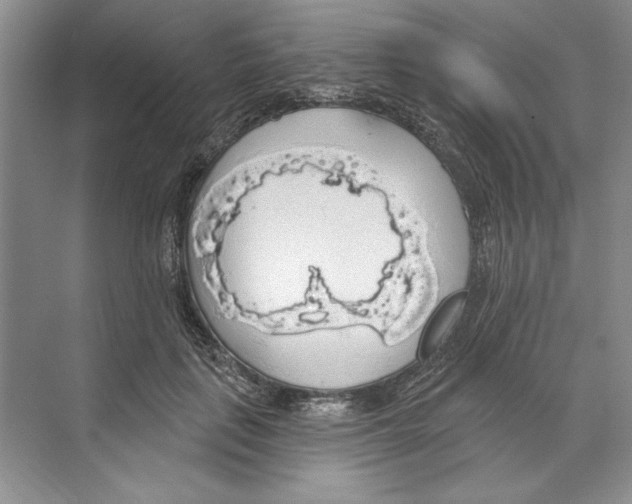 X0000068840651200606021710