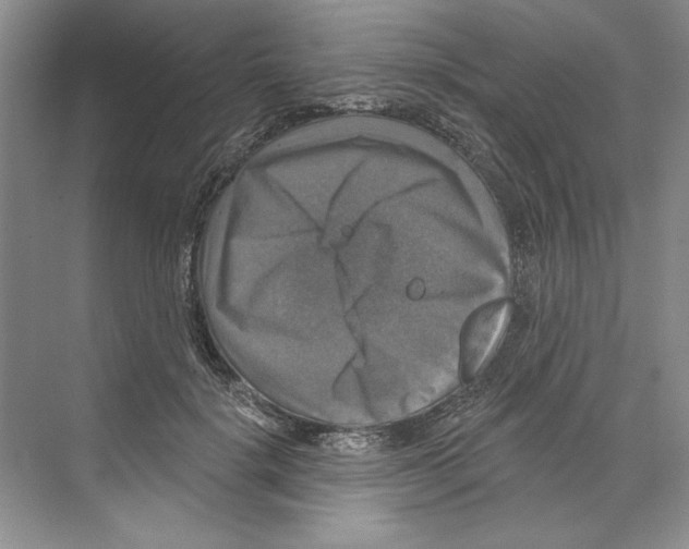 X0000068840652200606021710