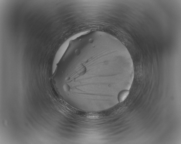 X0000068840653200606021710