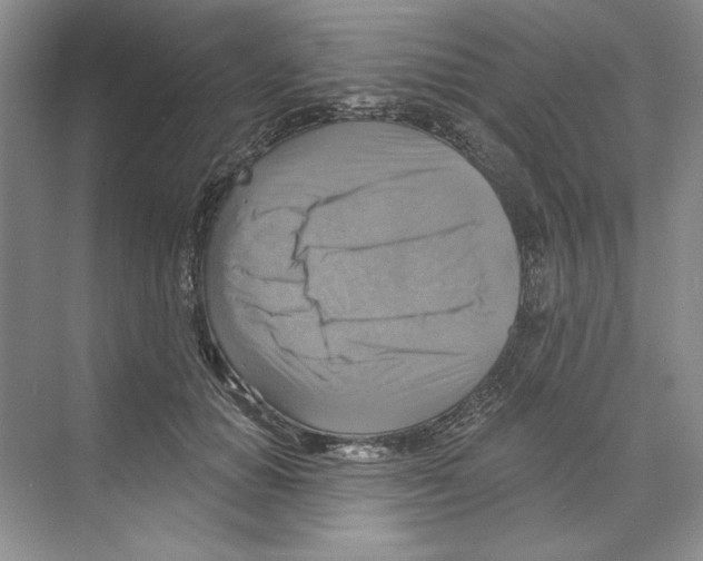 X0000068840654200606021710