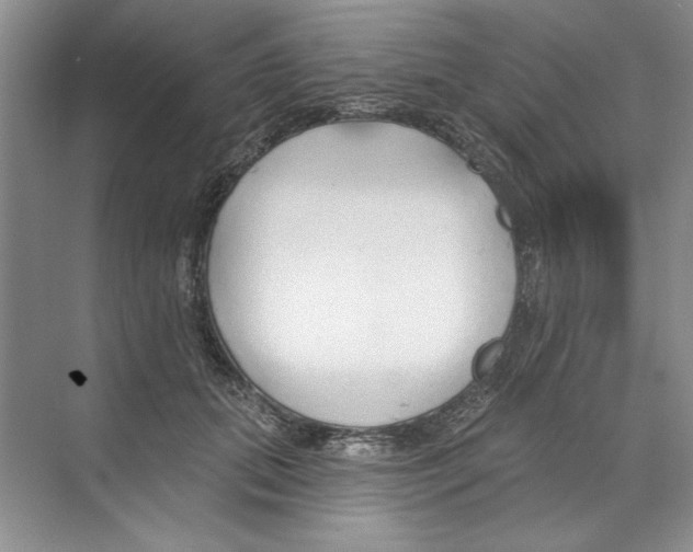 X0000068840655200606021710