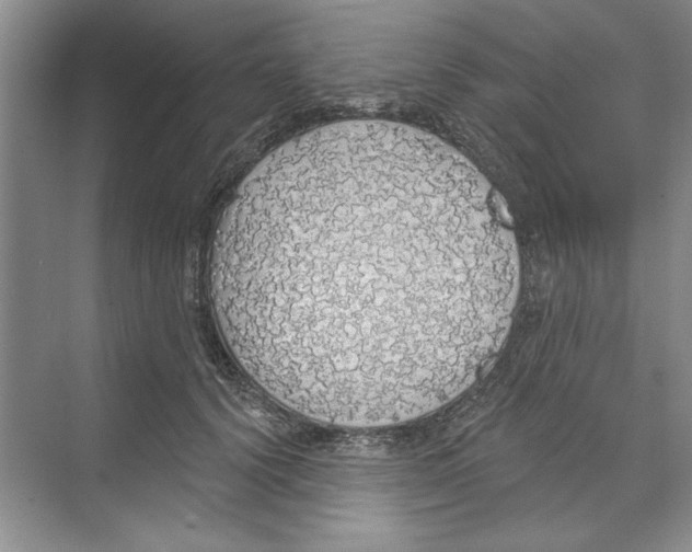 X0000068840656200606021710