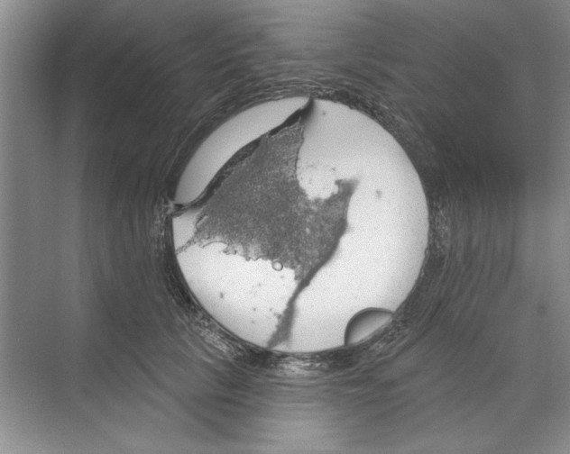 X0000068840657200606021710