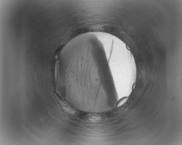 X0000068840658200606021710