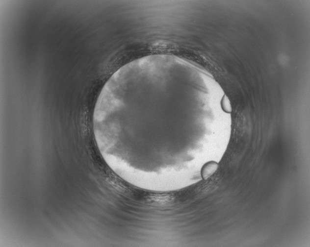 X0000068840659200606021710