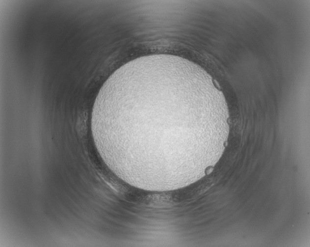 X0000068840660200606021710