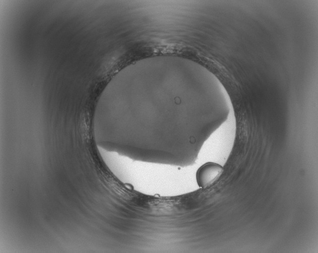 X0000068840661200606021710