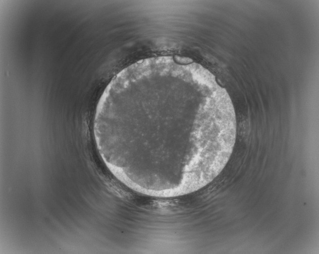 X0000068840662200606021710