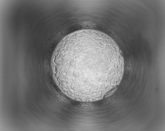 X0000068840666200606021710