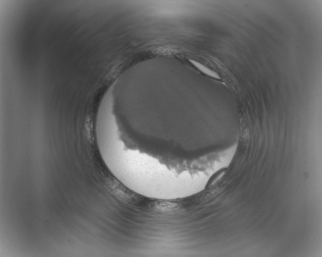 X0000068840669200606021710