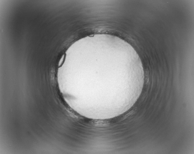 X0000068840670200606021710