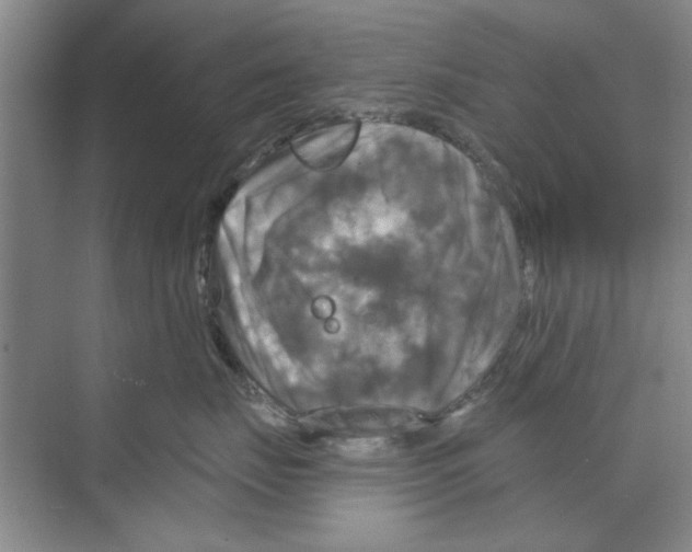 X0000068840671200606021710