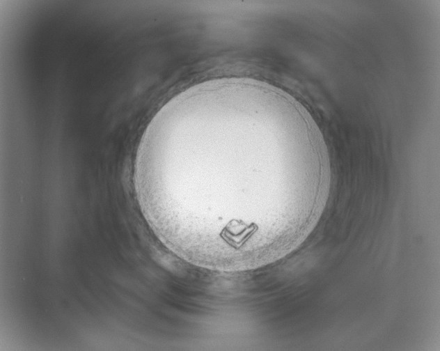 X0000068840672200606021710