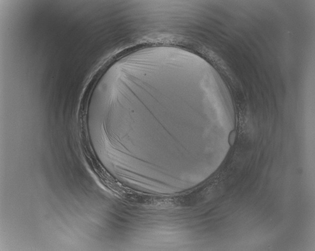 X0000068840674200606021709