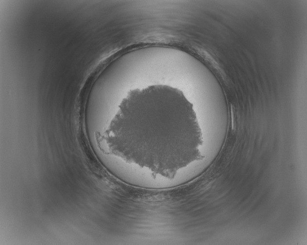 X0000068840675200606021709