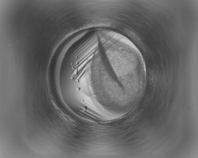 X0000068840676200606021709