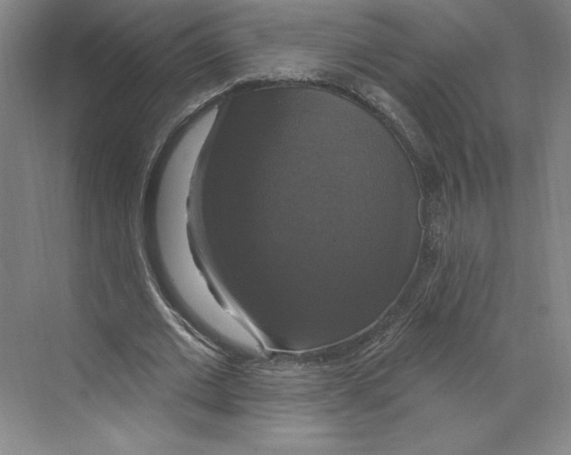 X0000068840677200606021709