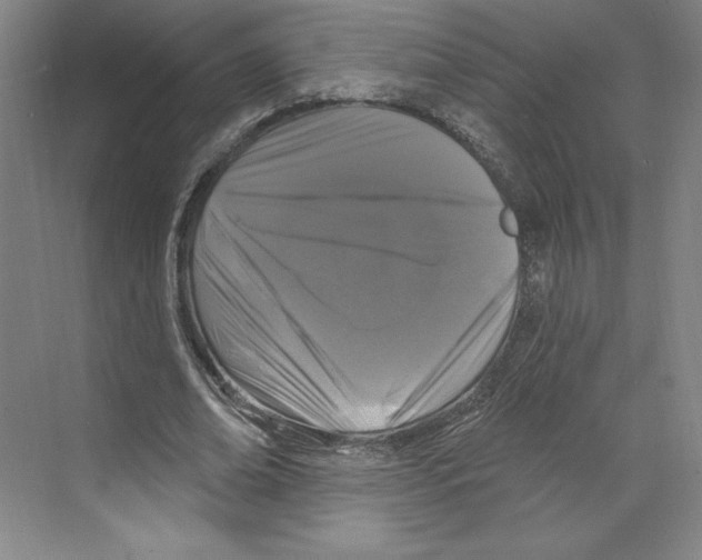 X0000068840678200606021709