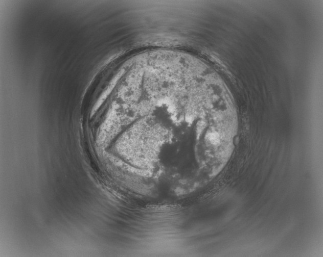 X0000068840679200606021709