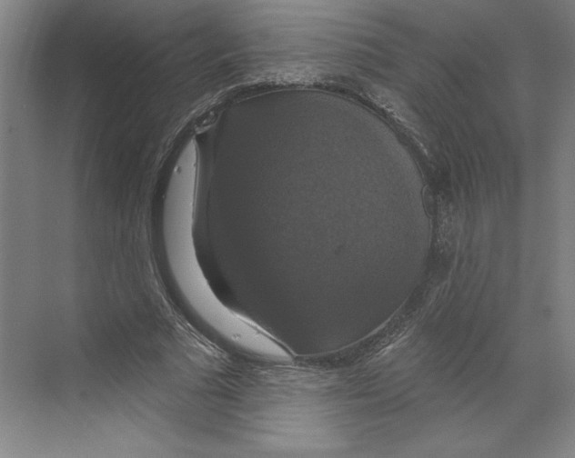 X0000068840681200606021709