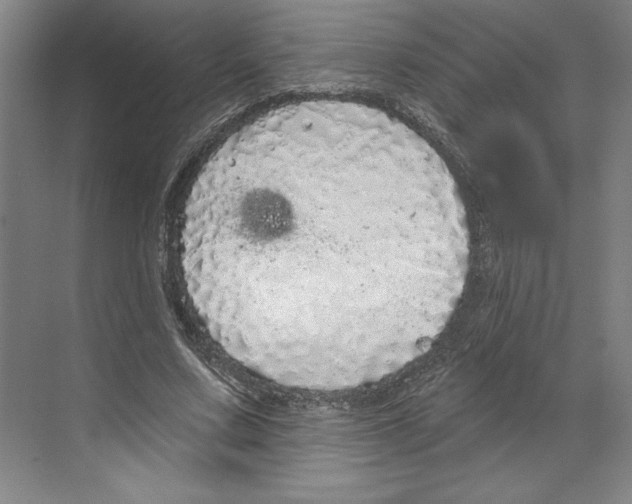 X0000068840683200606021709