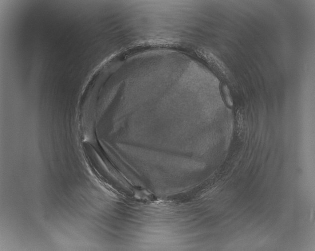 X0000068840684200606021709