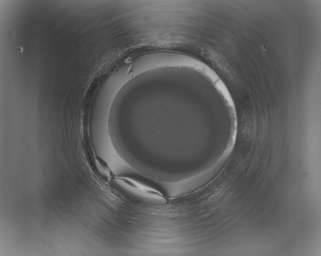 X0000068840685200606021709