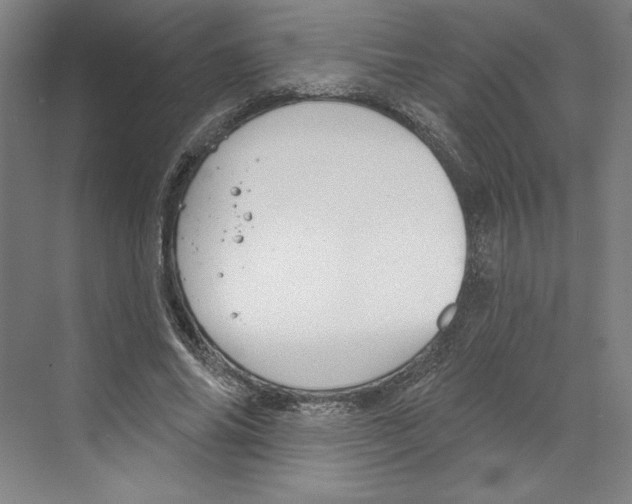 X0000068840686200606021709