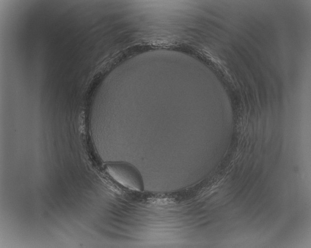 X0000068840689200606021709