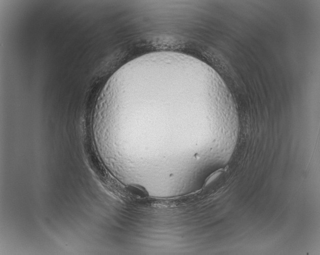 X0000068840690200606021709